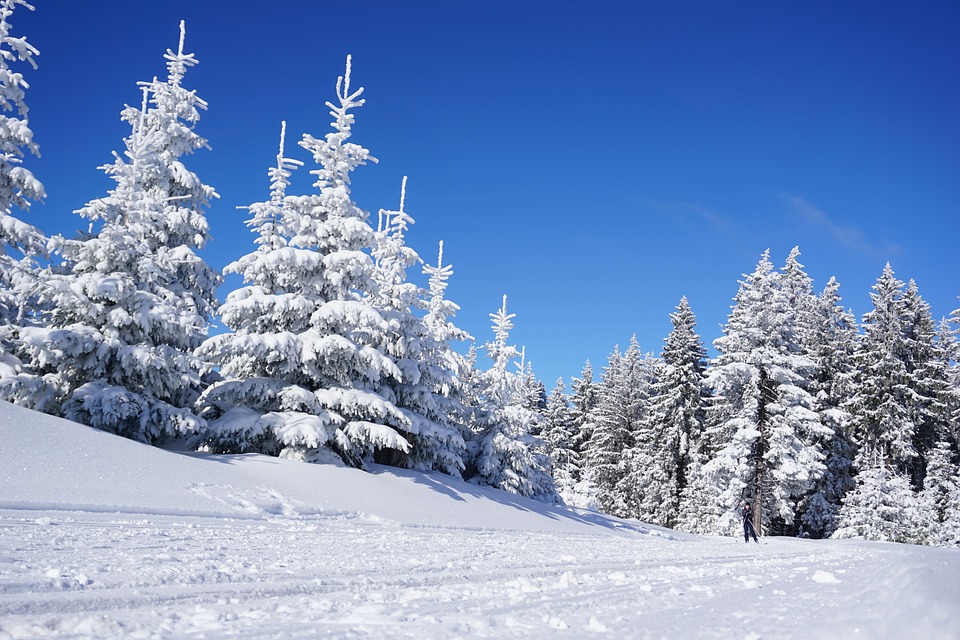 skiing-6060431_960_720